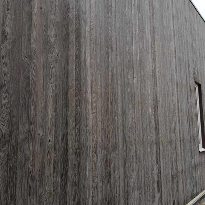 475582588_1274648986949664_4440283162571111644_n